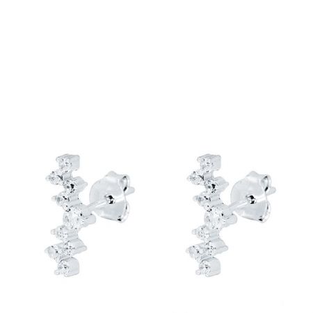 Pendientes Trepadores de Plata