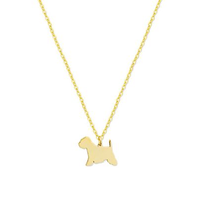 Collar Dog Terrier Gold