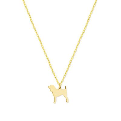 Collar Dog Beagle Gold