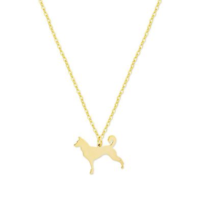 Collar Dog Husky Siberiano Gold